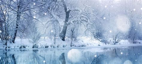 Winter Snow Fall Facebook Cover