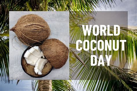 World Coconut Day Know Benefits Of Coconut And Its Importance In