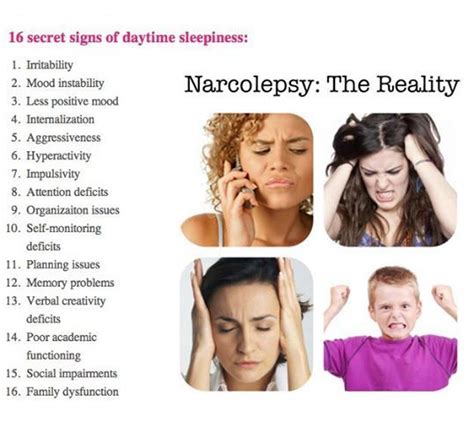 narcolepsy excessive daytime sleeping disorder overview