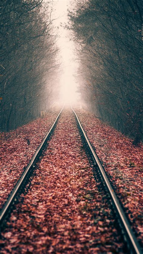 Autumn Forest Rail Track 5k Wallpapers Hd Wallpapers Id 26912
