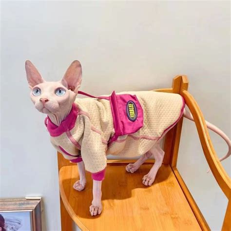Sphynx Cat Sweaters Turtleneck Sweater For Cats Sweater With A Bag