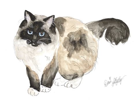 Himalayan Or Ragdoll Cat Original Painting Etsy Custom Pet Art