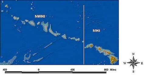 Noaa Ocean Explorer Nw Hawaiian Islands Main And Northwestern