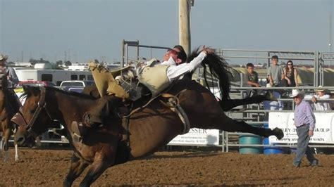 Bareback Ranch Broncs Will Rogers Range Riders Rodeo
