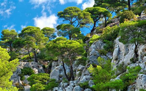 Nature Landscape Clouds Mountains Trees Cliff Shrubs Blue Green