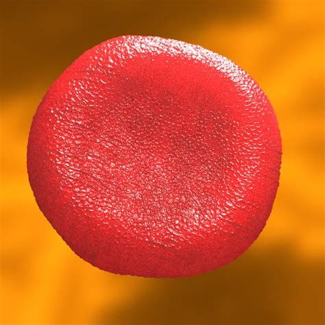 White Blood Cell Red 3d C4d