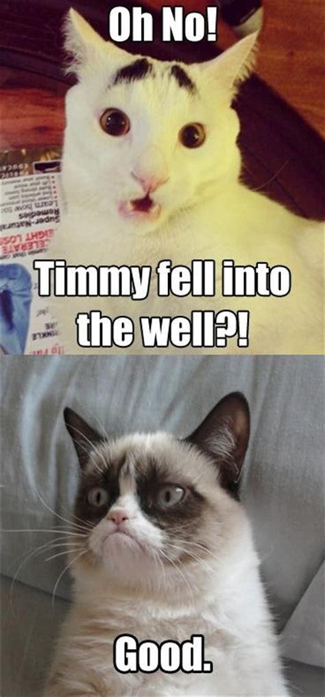 Funny Grumpy Cat Quotes Pictures Worth Sharing