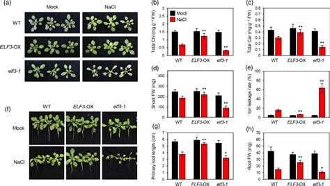 Arabidopsis EARLY FLOWERING3 Increases Salt Tolerance By Suppressing