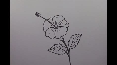 How To Draw A Hibiscus Flower Step By Step Youtube