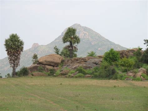 August 2011 Arunachala Land