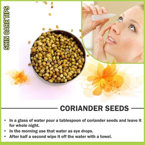 Coriander Seeds For Eye Care Coriander Seeds Eye Care Coriander