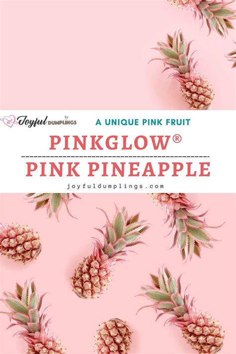 Pink Pineapple Everything You Need To Know Joyful Dumplings