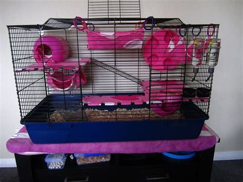 Rat Cage Ideas Luv This One