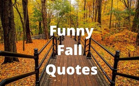 50 Best Funny Fall Quotes Wordy Magazine