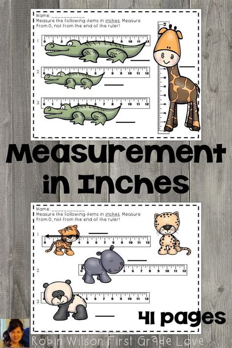 Measurement In Inches And Centimeters Measurement Activities Reading