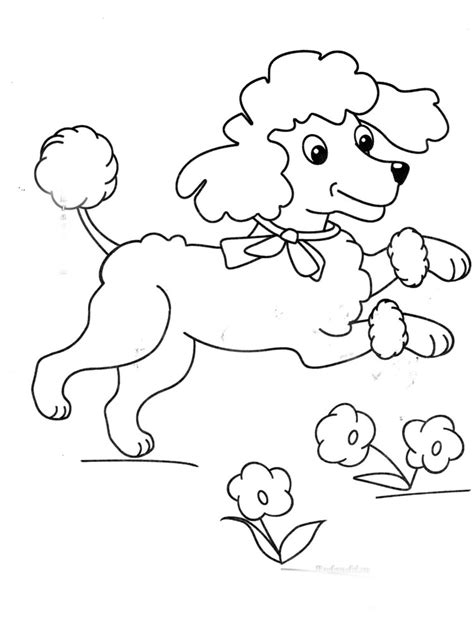Puppy coloring book page with a poodle! Free Poodle coloring pages. Download and print Poodle ...