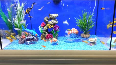 Brilliant Fish Tank For Kids Youtube