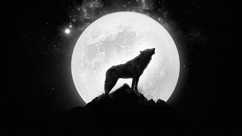 Wolf Howling Full Moon Wallpaper 1920x1080 448699 Wallpaperup