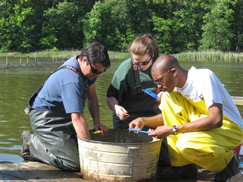 Fish Sampling Smithsonian Environmental Research Center