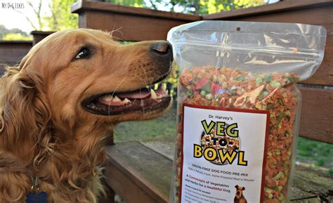 Check spelling or type a new query. Easy Homemade Dog Food with Dr. Harvey's Veg-to-Bowl