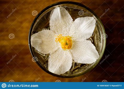 A Flower With Five White Petals And Yellow Stamens Immersed In Water