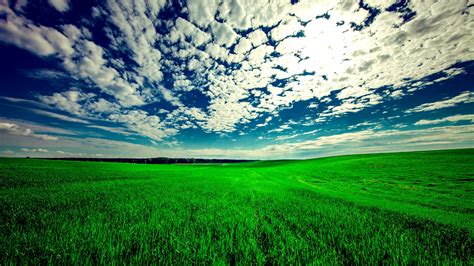 Download Wallpaper 2560x1440 Field Sky Grass Clouds Green Summer
