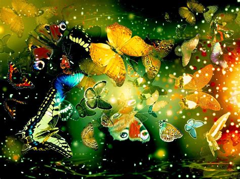 Free Download Colorful Butterfly Hd Wallpapers Real Artistic 1024x768