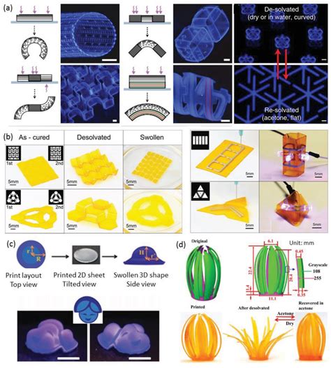 4d Printing Of Multimaterial Via Desolvation A The Schematic Graphs