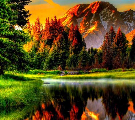 Nature Wallpapers Hd Desktop And Mobile Backgrounds