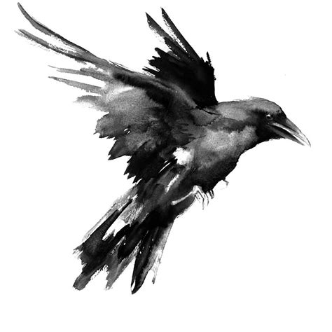 Flying Raven Painting By Suren Nersisyan Fine Art America