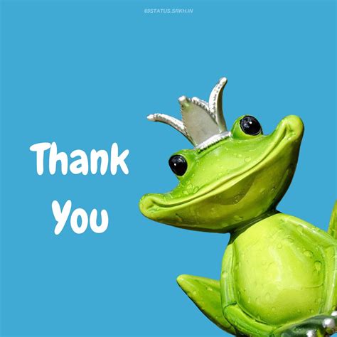 🔥 Thank You Funny Images Frog Download Free Images Srkh