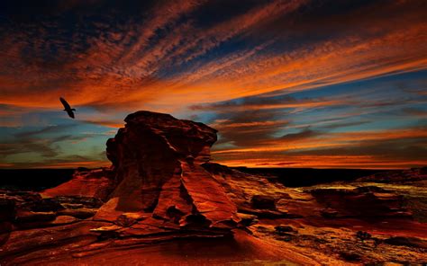 Desert Atacama Desert Sunset Rock Erosion Birds