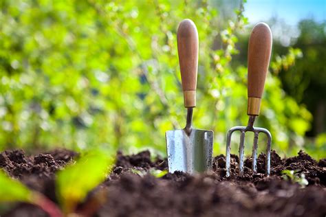 Our garden planner helps you design the best layout for your vegetable garden. How to protect garden tools from rust and corrosion ...