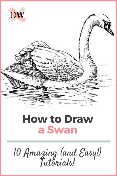 10 Amazing And Easy Step By Step Tutorials And Ideas On How To Draw A