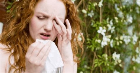 alergii de vară cauze simptome şi tratament