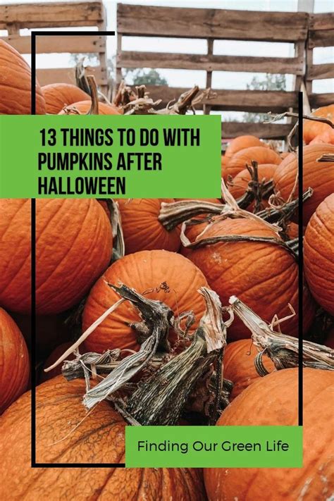 13 Ways To Use Pumpkins After Halloween Finding Our Green Life
