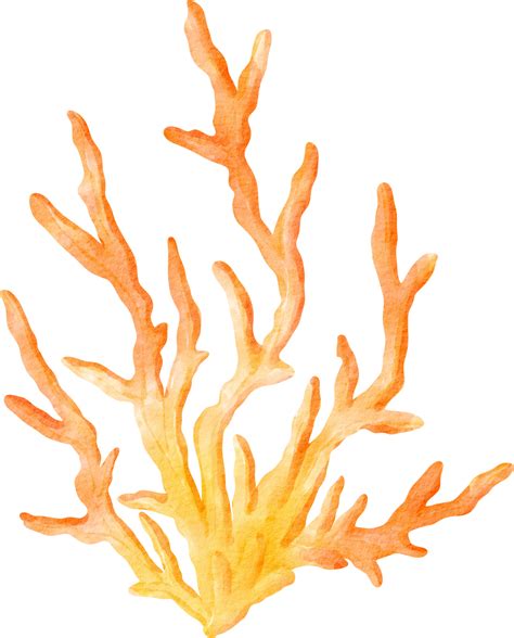 Oceano Coral Aquarela 16548247 Png