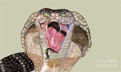 King Cobra Digital Art By Sara Schuder