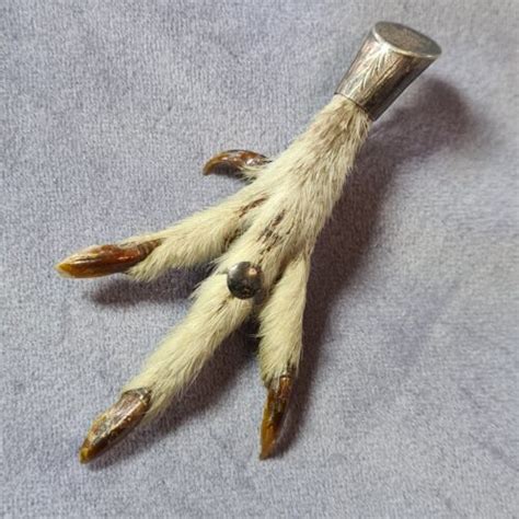 Vintage Gothic Grouse Foot Taxidermy Kilt Pin Brooch Worn Condition