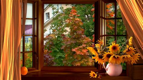 Beautiful Window Autumn Leaves Background Video Autumn Fall