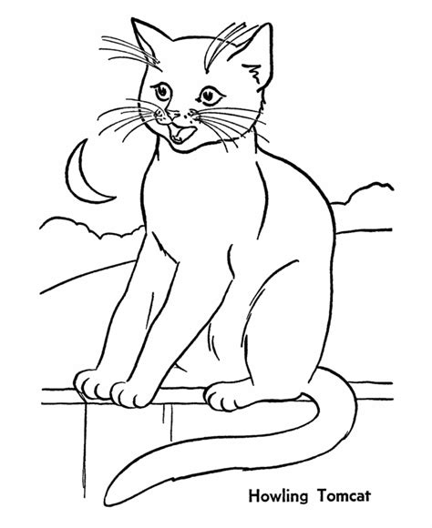 Animal Planet Coloring Pages Coloring Home