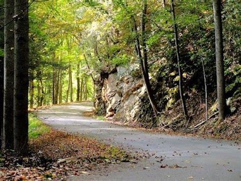 Little Shepherd Trail Is Kentucky Windiest And Most Scenic Road