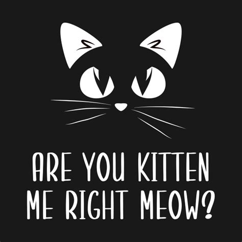 Are You Kitten Me Right Meow Are You Kitten Me Right Meow T Shirt
