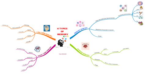 Types Of Memory Imindmap Mind Map Template Biggerplate The Best Porn