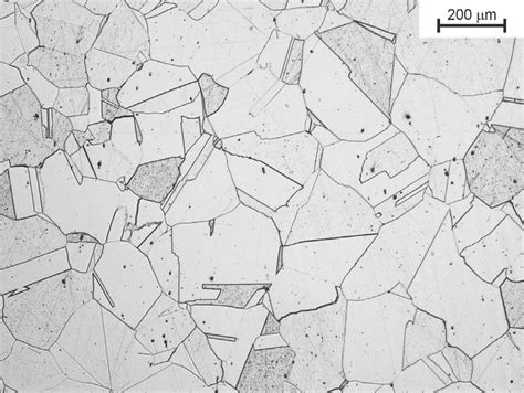Austenitic Structure Of The X11MnSiAl17 1 3 Steel Containing Annealing