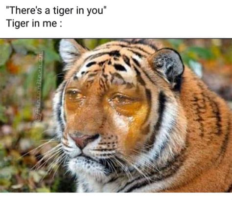 The Funniest But Also Saddest Sad Memes Of 2020