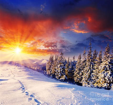 Winter Landscape With Snow Sunset Photograph By Boon Mee