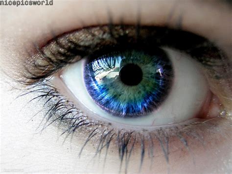 Pictures World Beautiful Eyes Wallpapers