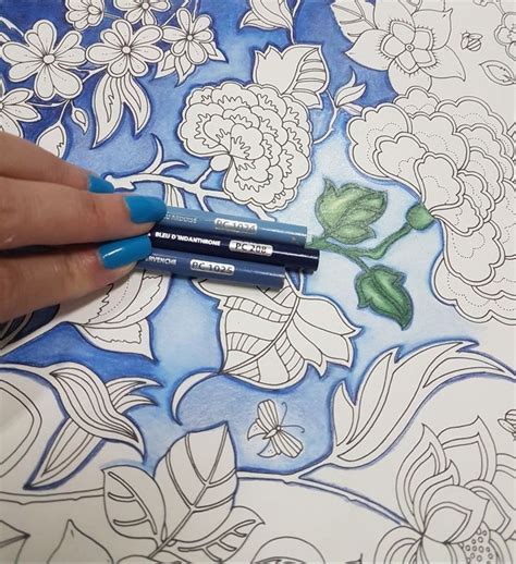 Pin By Patricia Schlairet On Adult Coloring In 2019 Color Pencil Art