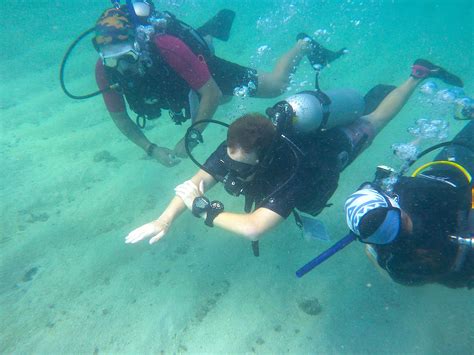 Pin By IDC Koh Tao Pro Scuba Diving On Divemaster Internships Padi